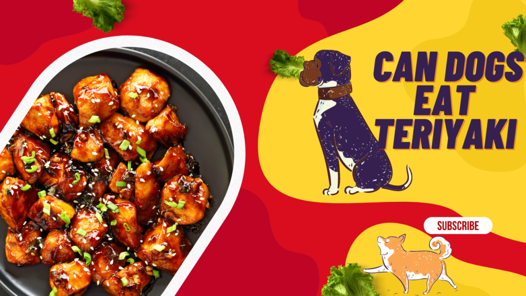 Benefits Can Dogs Eat Teriyaki Sauce (Now in 2023)