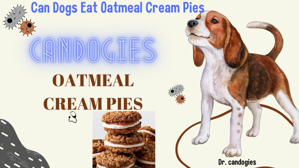 Science Experiment Can Dogs Eat Oatmeal Cream Pies ( Health)