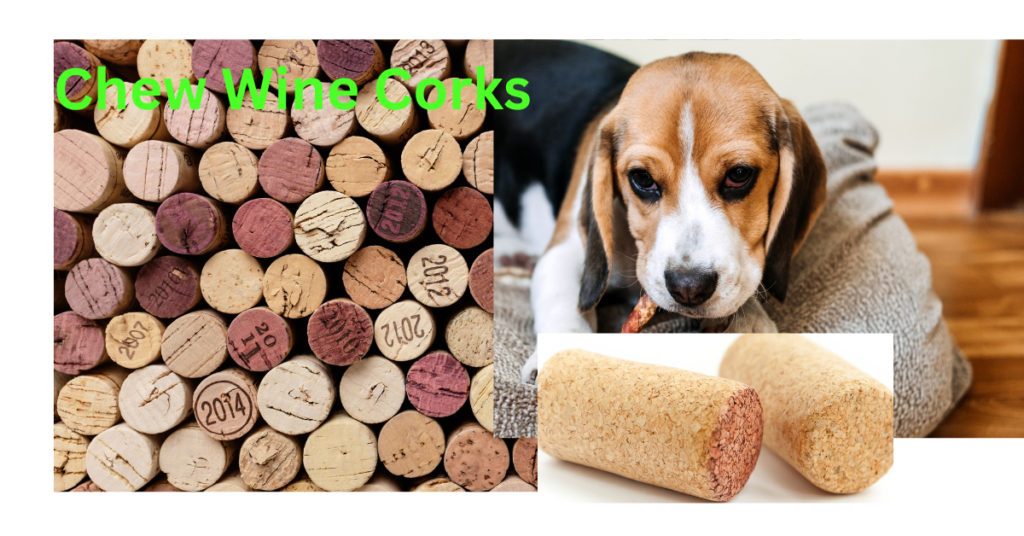 Ultimate Guide: Can Dogs Chew Wine Corks