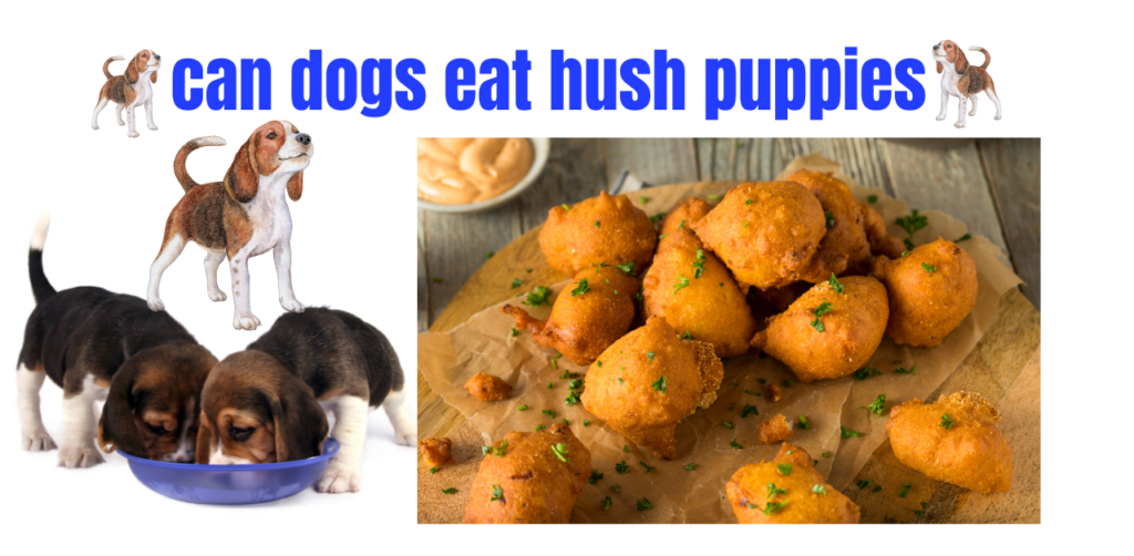 Exploring the Risks and Benefits Can Dogs Eat Hush Puppies