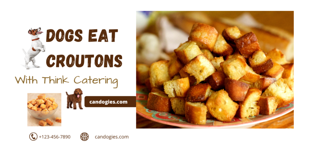 Breaking Bread: Can Dogs Eat Croutons of a Balanced Diet?
