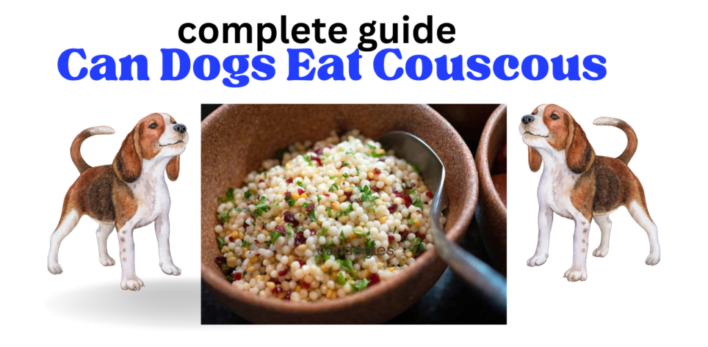 Can Dogs Eat Couscous? Scientific Experiment Complete Guide