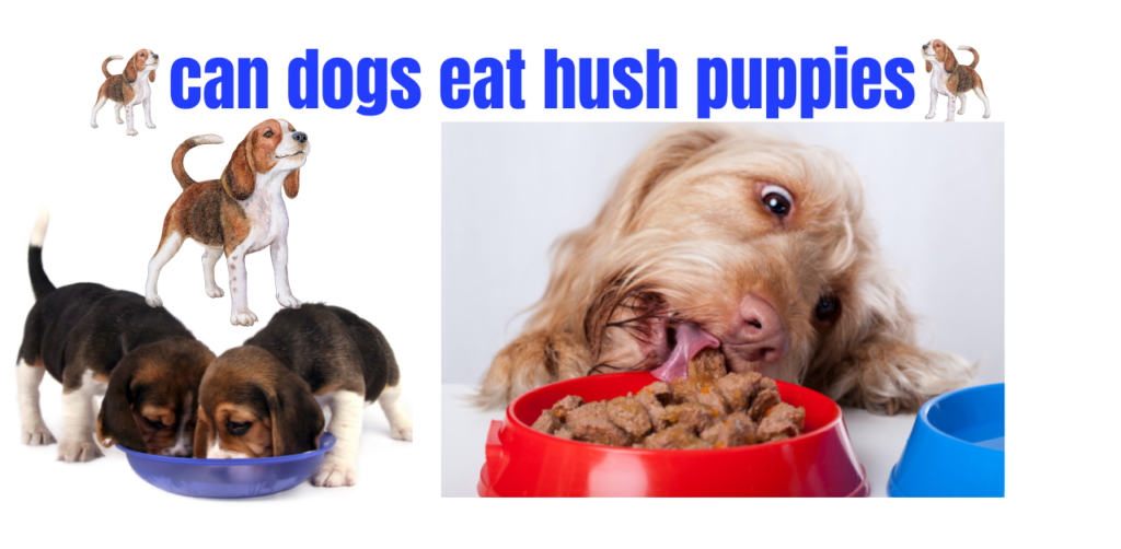 can dogs eat hush puppies