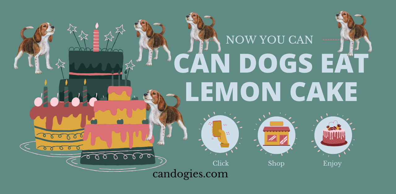 can dogs eat lemon cake