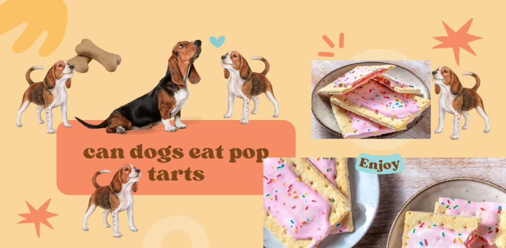 Can Dogs Eat Pop Tarts? Risk and Benefits