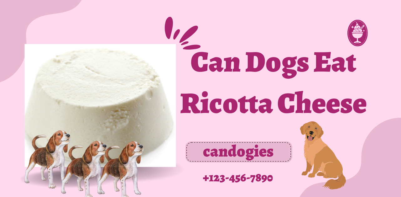can dogs eat ricotta cheese