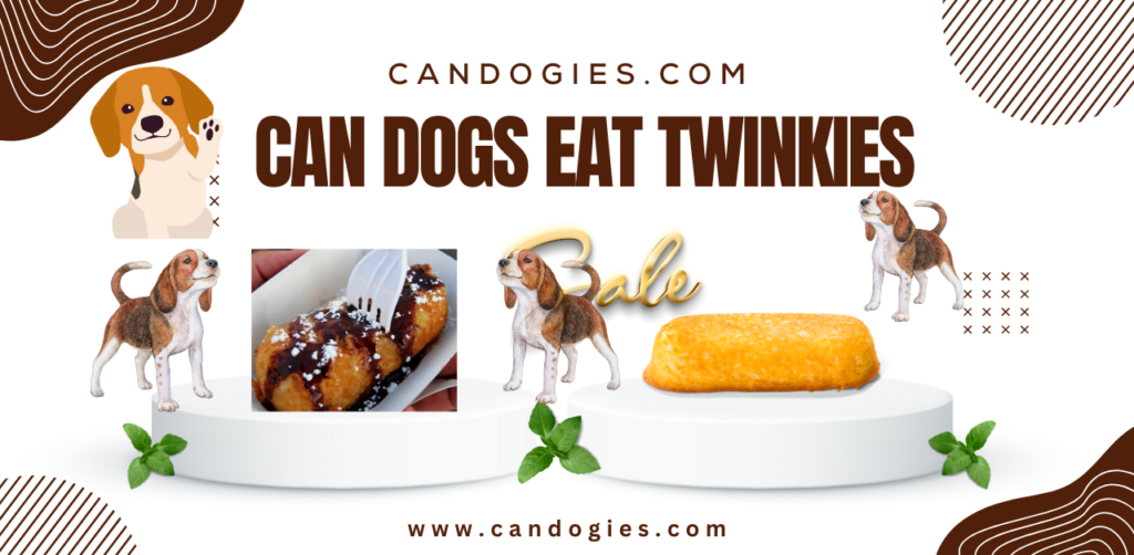 Can Dogs Eat Twinkies? Complete Guide Benefit+Risk