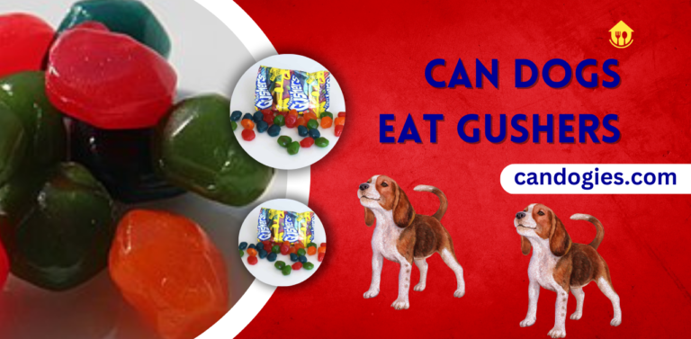 Can Dogs Eat Gushers? Science Experiment Guide - Can Dogies
