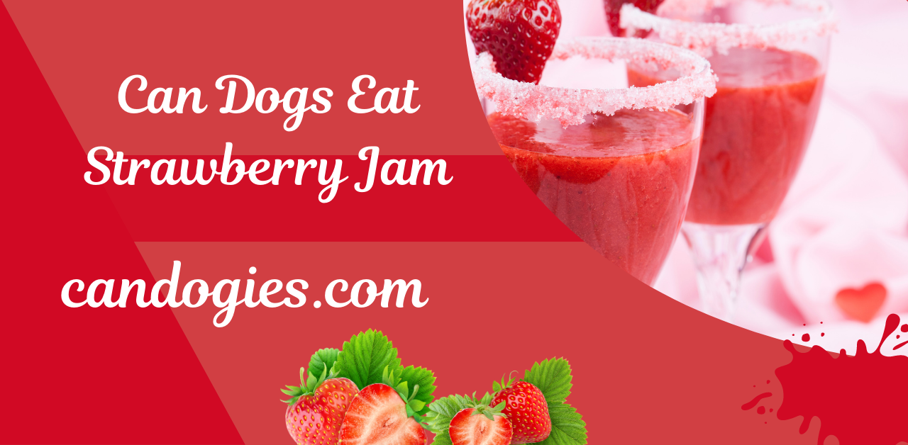 Can Dogs Eat Strawberry Jam