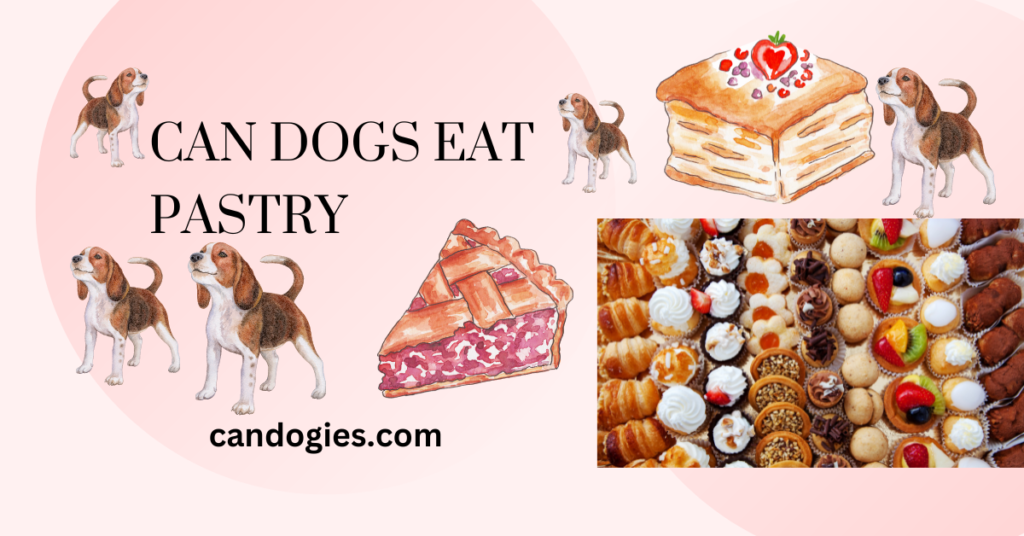 Can Dogs Eat Pastry? A Comprehensive Guide