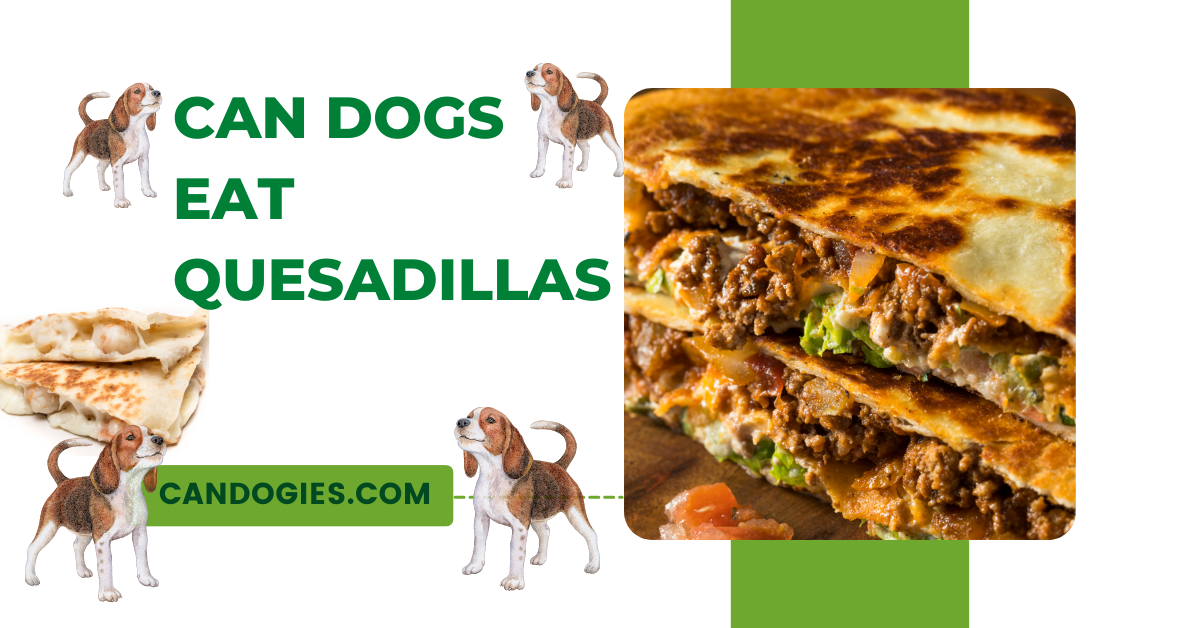 Can Dogs Eat Quesadillas