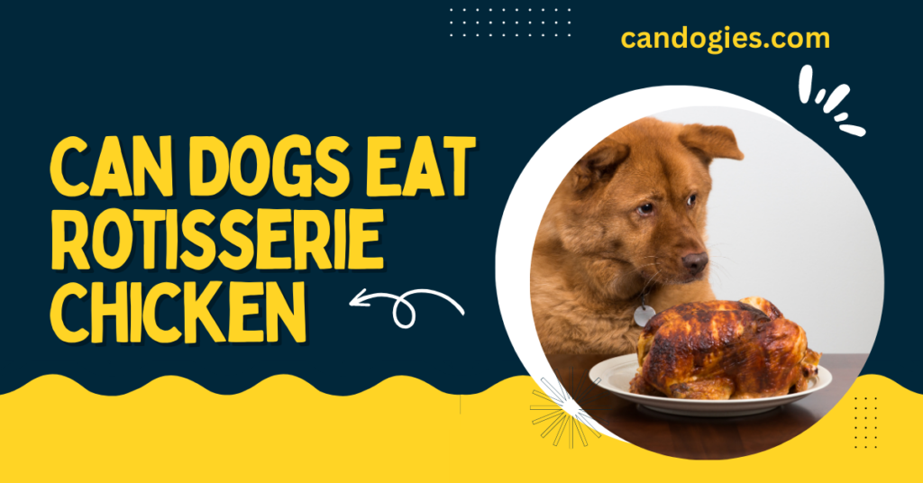 A Guide to Safe Consumption Can Dogs Eat Rotisserie Chicken?