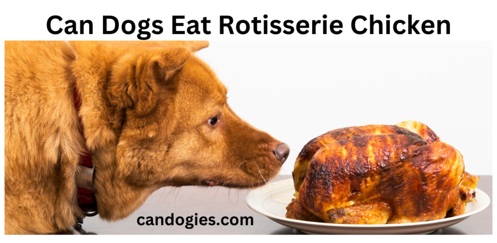 Can Dogs Eat Rotisserie Chickens