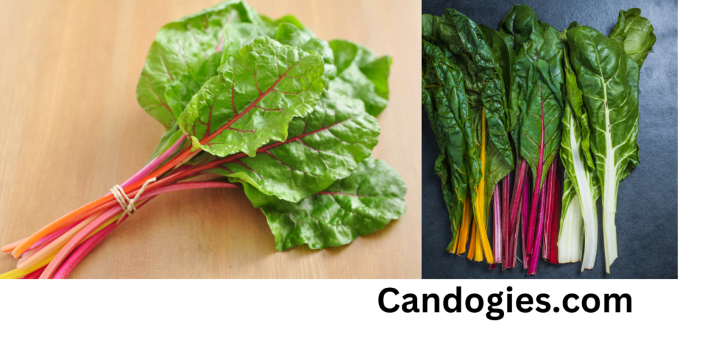Can Dogs Eat Swiss Chard
