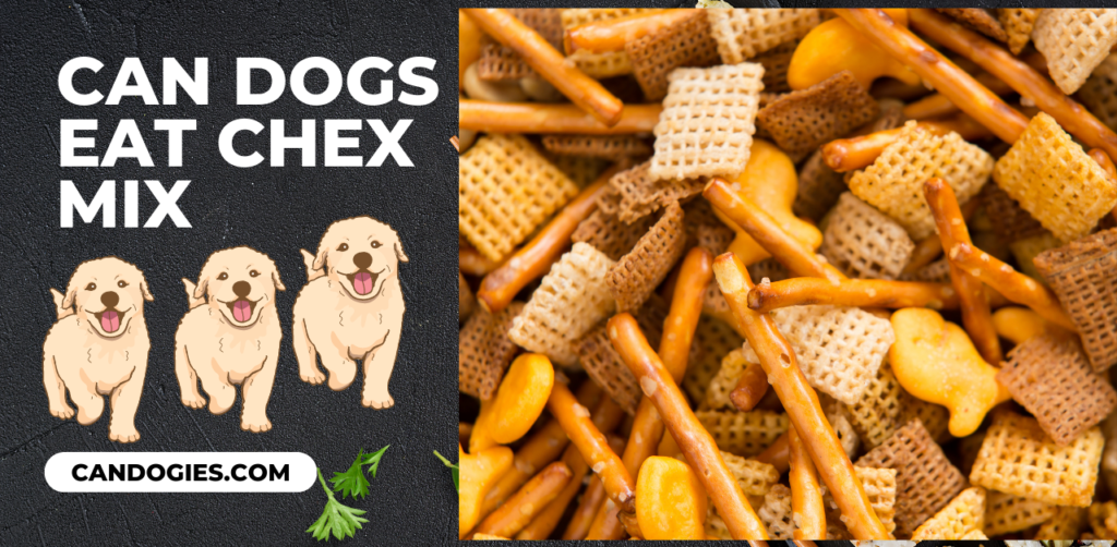 Can Dogs Eat Chex Mix Snack Mix: Guide
