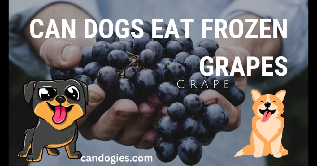 Can Dogs Eat Frozen Grapes? Exploring the Safety and Risks