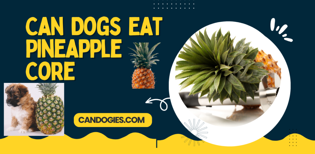 Can Dogs Eat Pineapple Core? What You Need to Know