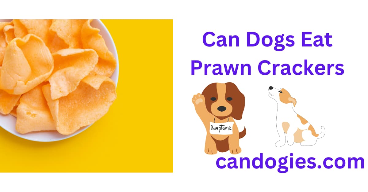 Can Dogs Eat Prawn Crackers