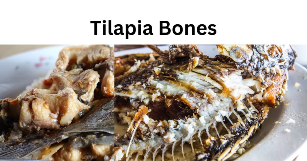 Can Dogs Eat Tilapia Bones? What You Should Know