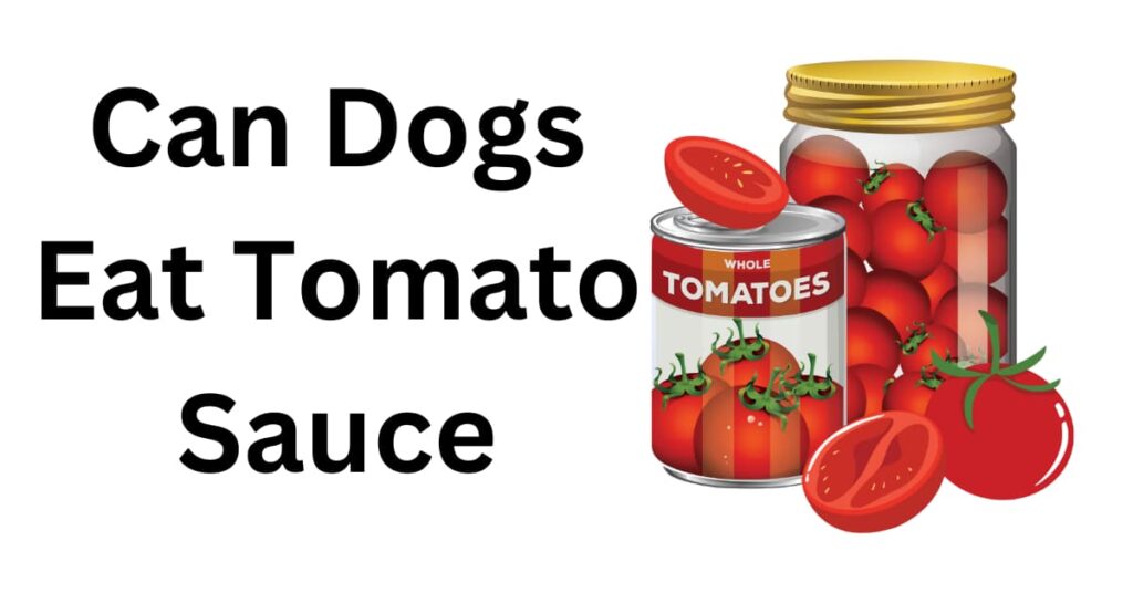 Can Dogs Eat Tomato Sauce? Exploring the Tomatoes for Dogs