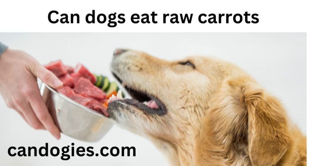 Can dogs eat raw carrots
