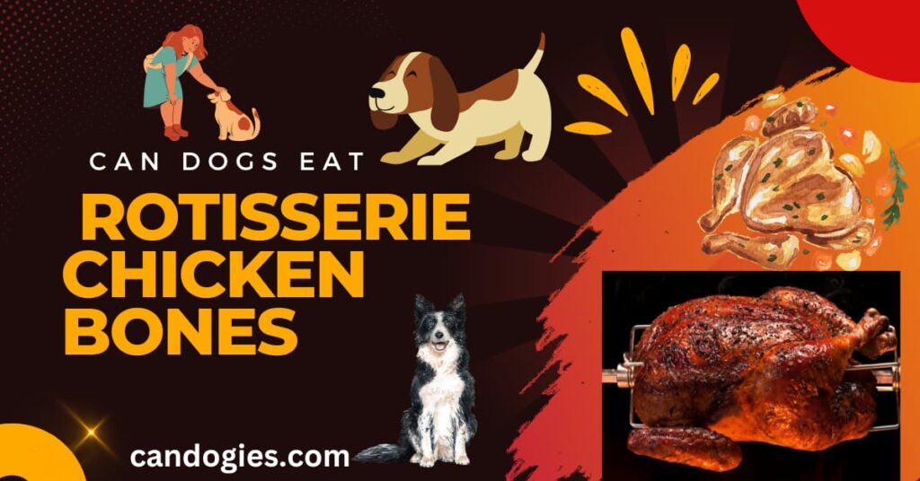 Can Dogs Eat Rotisserie Chicken Bones? Full Experiment Guide