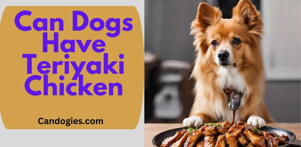 Can Dogs Have Teriyaki Chicken