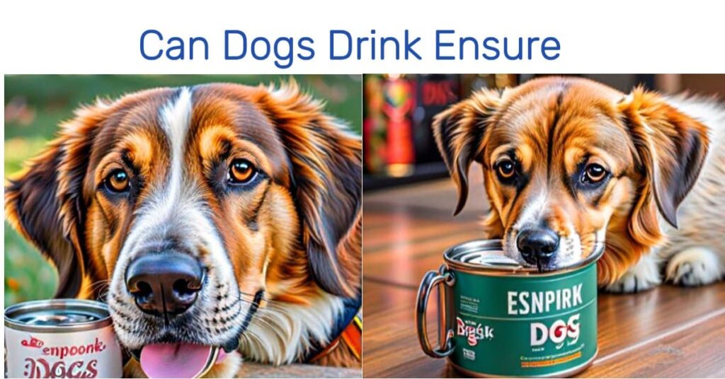 Can Dogs Safely Consume Ensure Nutritional Drinks?